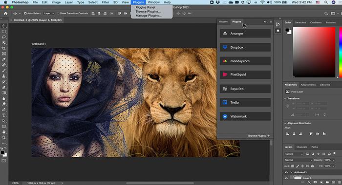 work img